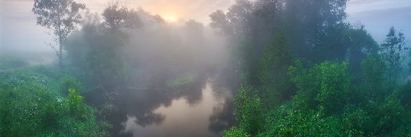 Rzeka, Mgła, Wschód słońca, Rośliny, Drzewa