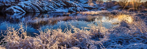 Stany Zjednoczone, Jezioro, Willow Lake, Rośliny, Skały, Arizona, Promienie słońca