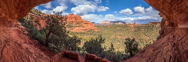 Skały, Sedona, Czerwone, Drzewa, Arizona, Stany Zjednoczone