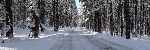Śnieg, Zaśnieżona, Droga, Drzewa, Las, Zima