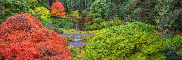 Bloedel Reserve Bainbridge, Waszyngton, Staw, Krzewy, Ogród botaniczny, Jesień, Drzewa, Stany Zjednoczone