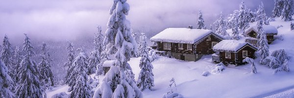 Valdres, Drzewa, Domy, Norwegia, Ośnieżone, Zima