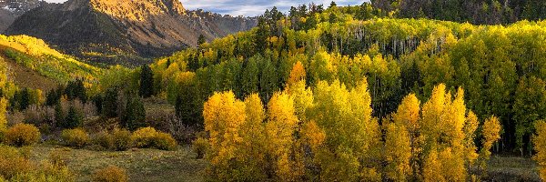 Lasy, San Juan Mountains, Stany Zjednoczone, Kolorado, Góra Mount Sneffels, Drzewa, Jesień, Góry