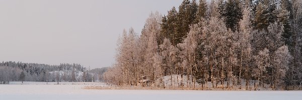 Jezioro, Drzewa, Sylkky Lake, Domy, Finlandia, Śnieg, Zaśnieżone, Gmina Savonlinna, Zima, Las, Herttuala