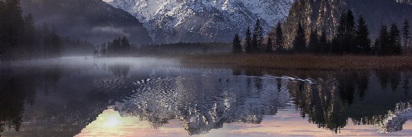 Austria, Góry, Totes Gebirge, Drzewa, Jezioro Almsee, Kaczki, Mgła