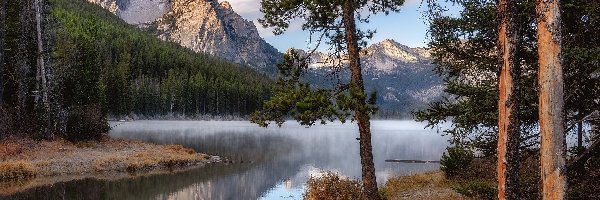 Stanley Lake, Sawtooth Range, Stany Zjednoczone, Idaho, Jezioro, Drzewa, Sosny, Góry