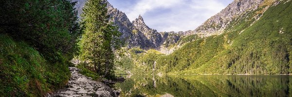 Kamienie, Tatry, Polska, Morskie Oko, Skały, Drzewa, Jezioro, Góry