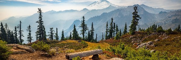 Skały, Góra, Stany Zjednoczone, Stan Waszyngton, Mount Baker, Ławka, Drzewa, Góry Kaskadowe