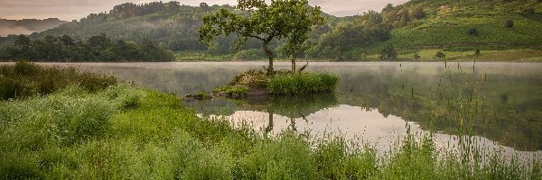 Mgła, Drzewa, Wzgórza, Chmury, Trawa, Jezioro