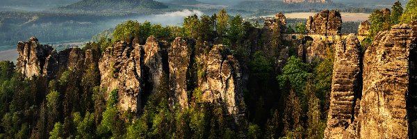 Góry Połabskie, Bastei, Drzewa, Niemcy, Skały, Park Narodowy Saskiej Szwajcarii