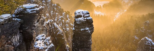 Drzewa, Schrammsteine, Śnieg, Góry Połabskie, Wschód słońca, Niemcy, Park Narodowy Saskiej Szwajcarii, Skały, Mgła