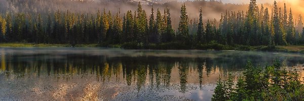 Reflection Lake, Stan Waszyngton, Odbicie, Jezioro, Stratowulkan, Góra, Drzewa, Stany Zjednoczone, Park Narodowy Mount Rainier, Mgła