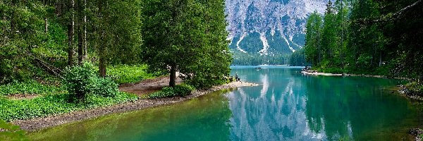 Pragser Wildsee, Południowy Tyrol, Odbicie, Mgła, Jezioro, Góry, Drzewa, Włochy