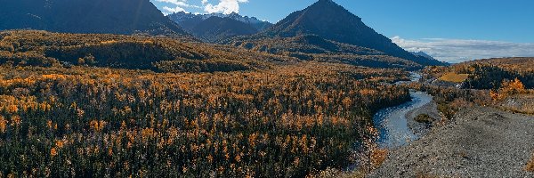 Matanuska River, Rzeka, Drzewa, Chugach Mountains, Góry, Stany Zjednoczone, Alaska, Las, Chickaloon