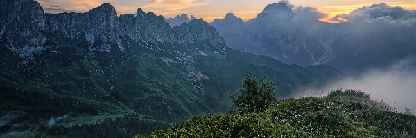 Włochy, Dolomity, Mgła, Góry, Wschód słońca, Iglaki, Krzewy