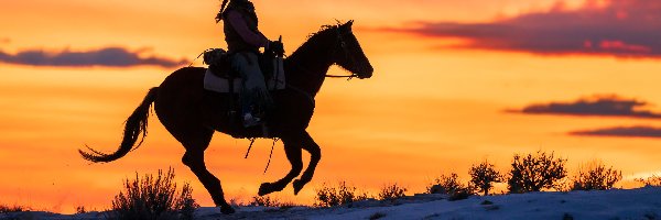 Zachód słońca, Kobieta, Koń