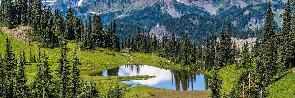 Góry, Mount Rainier, Park Narodowy Mount Rainier, Waszyngton, Stany Zjednoczone, Drzewa, Tipsoo Lake, Stratowulkan, Jezioro
