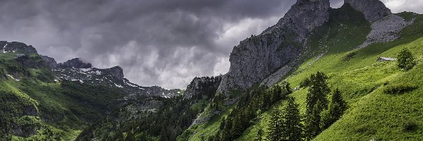 Roślinność, Chmury, Zbocza, Skały, Góry, Drzewa, Las