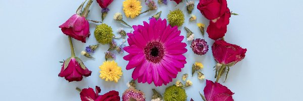 Kwiaty, Czerwone, Kolorowe, Gerbera, Róże