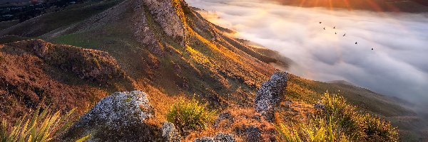 Góry Te Mata Peak, Region Hawkes Bay, Mgła, Dolina, Rzeka Tukituki River, Wzgórza, Wschód słońca, Nowa Zelandia