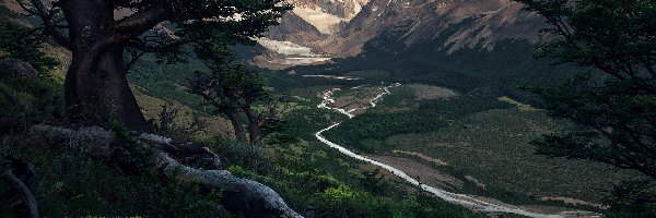 Rzeka Rio de las Vueltas, Góry, Argentyna, Dolina, Szczyt Fitz Roy, Gałęzie, Drzewa, Park Narodowy Los Glaciares, Szczyt Cerro Torre, Patagonia