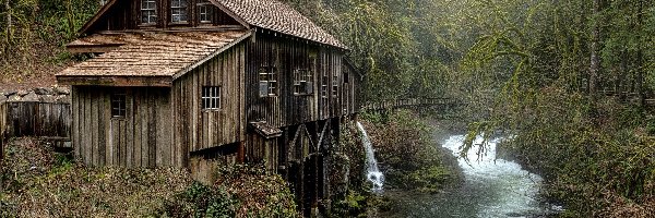 Jesień, Młyn, Cedar Creek Grist Mill, Stan Waszyngton, Stany Zjednoczone, Las, Rzeka