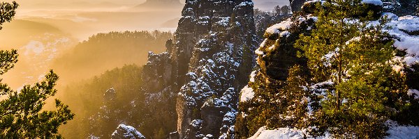 Śnieg, Zima, Góry Połabskie, Park Narodowy Saskiej Szwajcarii, Niemcy, Mgła, Wschód słońca, Skały, Drzewa