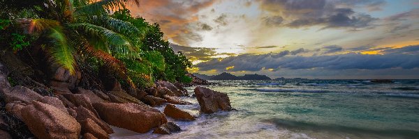 Roślinność, Morze, Chmury, Kamienie, Anse Severe Beach, Wyspa La Digue, Palmy, Seszele, Plaża, Zachód słońca