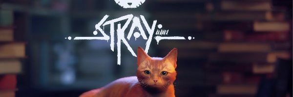 Dywan, PC, Plakat, Kot, PS4, Stray, Postać, Gry, XBOX, Książki