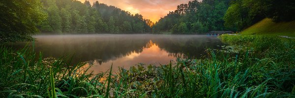 Chorwacja, Drzewa, Roślinność, Las, Jezioro Trakoscan, Zachód słońca, Mgła