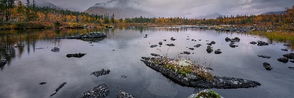 Las, Kamienie, Drzewa, Mgła, Jezioro, Góry