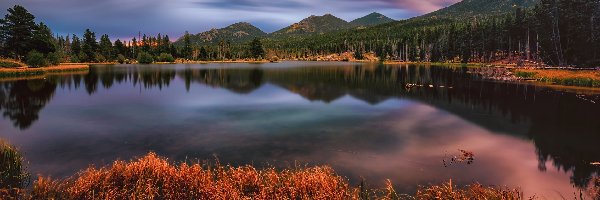 Stany Zjednoczone, Góry, Trawa, Sprague Lake, Jezioro, Kolorado, Park Narodowy Gór Skalistych