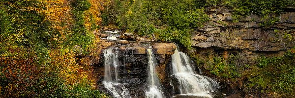 Rzeka, Wirginia zachodnia, Drzewa, Skały, Park stanowy Blackwater Falls, Wodospad, Blackwater Falls, Stany Zjednoczone