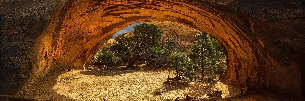 Stan Utah, Drzewa, Park Narodowy Arches, Stany Zjednoczone, Nawajo Arch, Skały