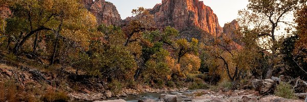 Virgin River, Góra Watchman, Stany Zjednoczone, Rzeka, Drzewa, Góry, Kamienie, Park Narodowy Zion, Jesień, Stan Utah