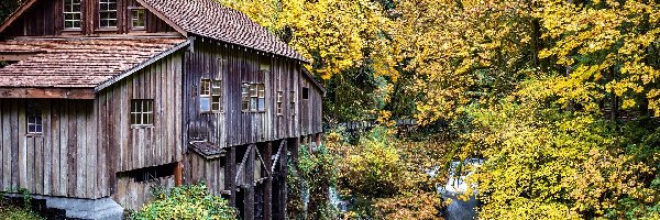 Woodland, Cedar Creek Grist Mill, Stany Zjednoczone, Jesień, Lewis River, Drzewa, Las, Młyn wodny, Rzeka, Stan Waszyngton