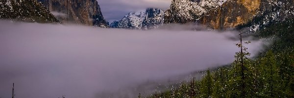 Kalifornia, Drzewa, Park Narodowy Yosemite, Stany Zjednoczone, Mgła, Góry