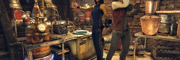 Fallout 76, Gra, Postacie