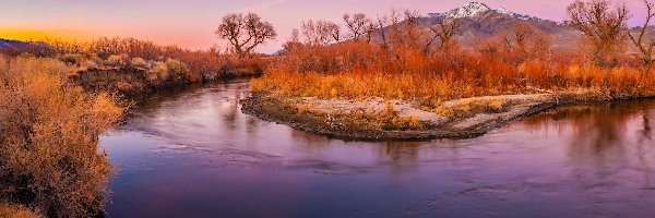 Owens River, Góry, Kalifornia, Rzeka, Drzewa, Rośliny, Dolina Owens Valley, Stany Zjednoczone, Jesień, Eastern Sierra