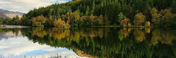 Szkocja, Las, Jezioro, Góra Pap of Glencoe, Góry, Odbicie, Trawa