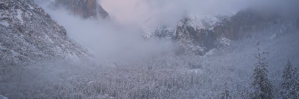 Ośnieżone, Sierra Nevada, Zima, Kalifornia, Stany Zjednoczone, Park Narodowy Yosemite, Mgła, Góry, Drzewa