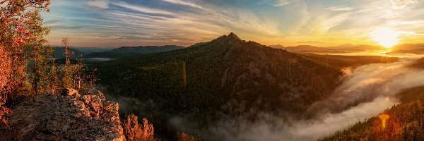 Drzewa, Jesień, Góra Karatash, Ałtaj, Rosja, Skała, Mgła, Wschód słońca, Lasy