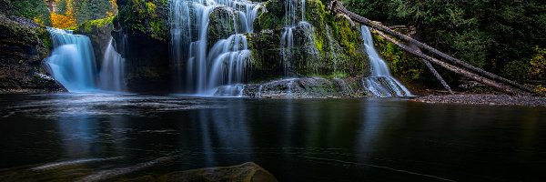 Stan Waszyngton, Las, Wodospad Lower Lewis River Falls, Stany Zjednoczone, Skały, Omszałe