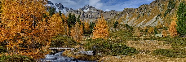 Dolina, Modrzewie, Rzeka, Góry, Jesień, Szwajcaria, Kanton Gryzonia, Drzewa, Valle di Campo