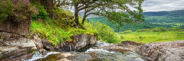 Skały, Rzeka, Drzewa, Walia, Góry Kambryjskie, Park Narodowy Snowdonia