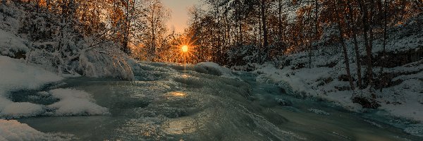 Zima, Las, Rzeka, Promienie słońca, Drzewa