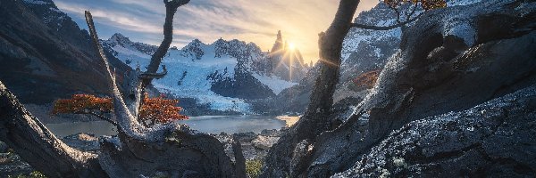 Fitz Roy, Patagonia, Skały, Konary, Góra, Promienie słońca, Drzewa, Argentyna