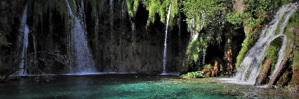 Rośliny, Plitvice, Jezioro, Wodospad, Park Narodowy Jezior Plitwickich, Chorwacja