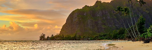 Góry, Oahu, Morze, Hawaje, Stany Zjednoczone, Palmy, Plaża