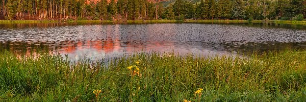 Góry, Spraque Lake, Park Narodowy Gór Skalistych, Kolorado, Stany Zjednoczone, Kwiaty, Łąka, Jezioro, Drzewa